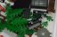 Lego Forbidden Island (6270)